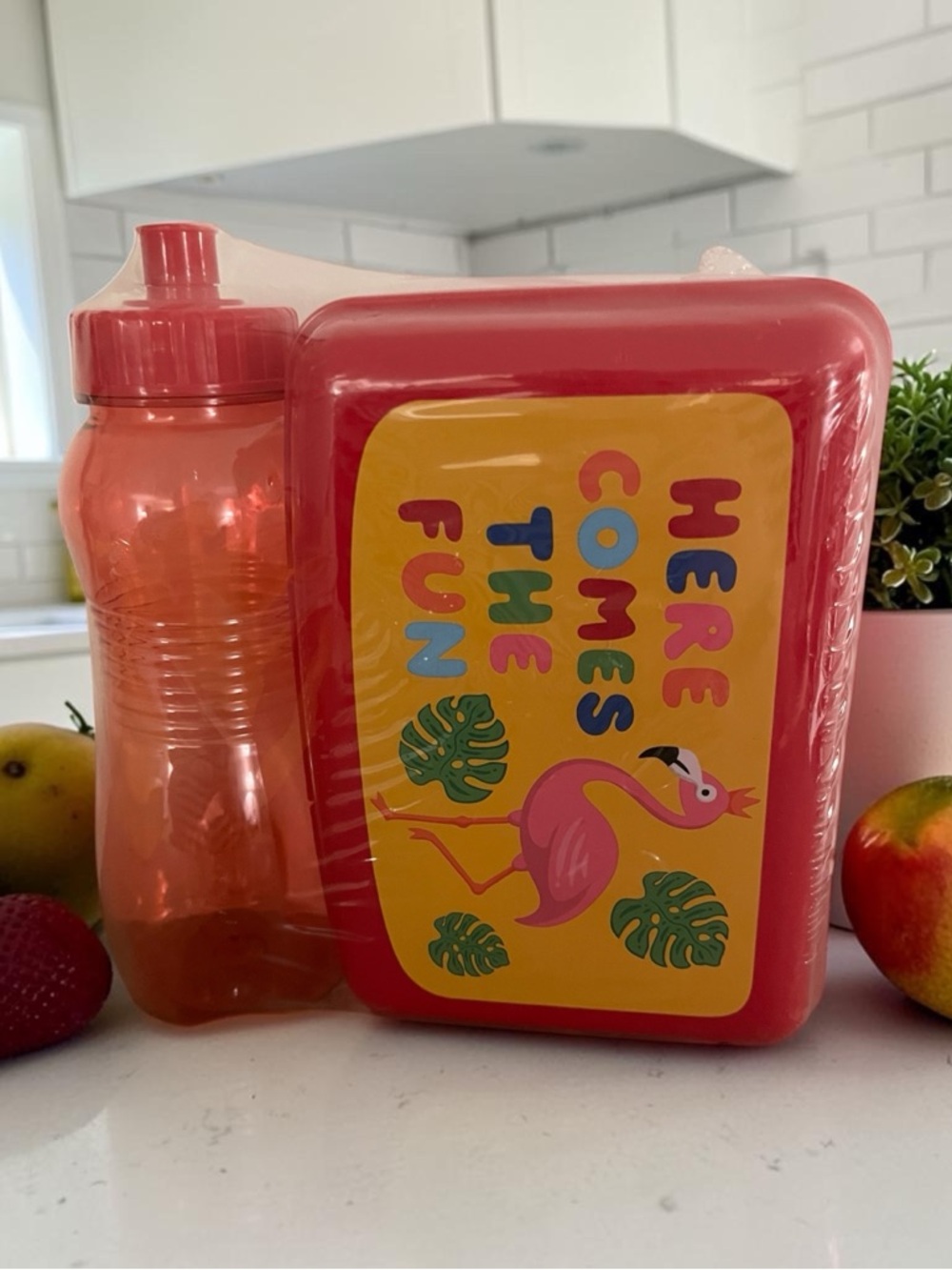Pink Flamingo Food Container & Matching Water Bottle Set - Pink plastic